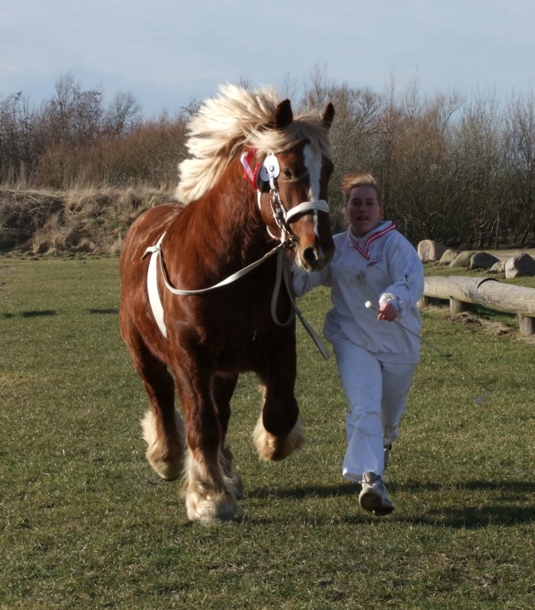 Vinder af Hestens Vrns Mnstringsmedalje - Mille Nielsen med Lucas
